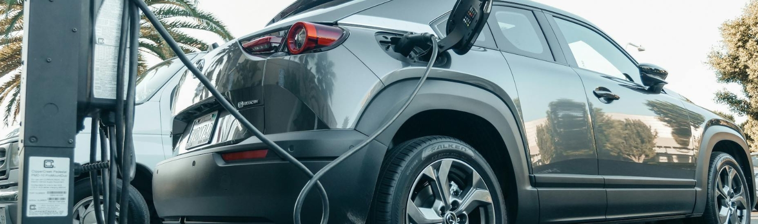 How Entrepreneurs Promote Electric Mobility