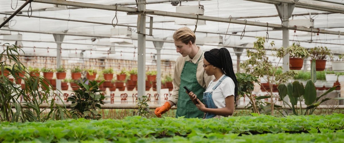 The Rise of Precision Agriculture Technology: How AI and Drones Are Transforming Farm Management in 2026