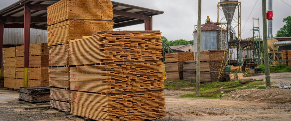 Why FSC Certified Lumber is More Than Just Wood
