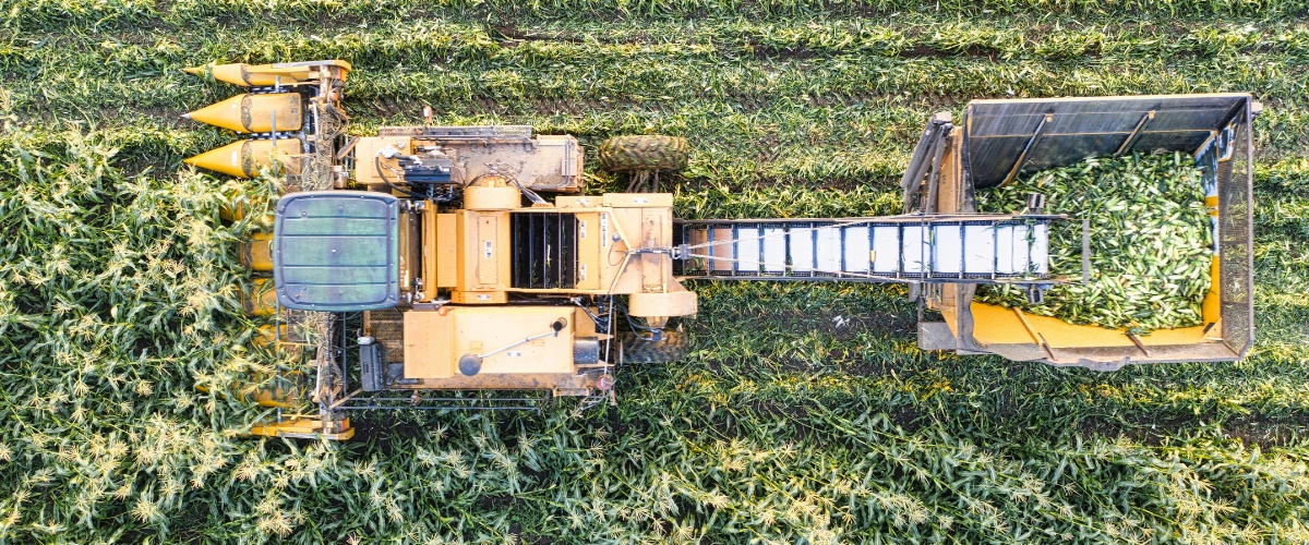How AI and Machine Learning in Crop Prediction Supports Food Supply Chain Stability