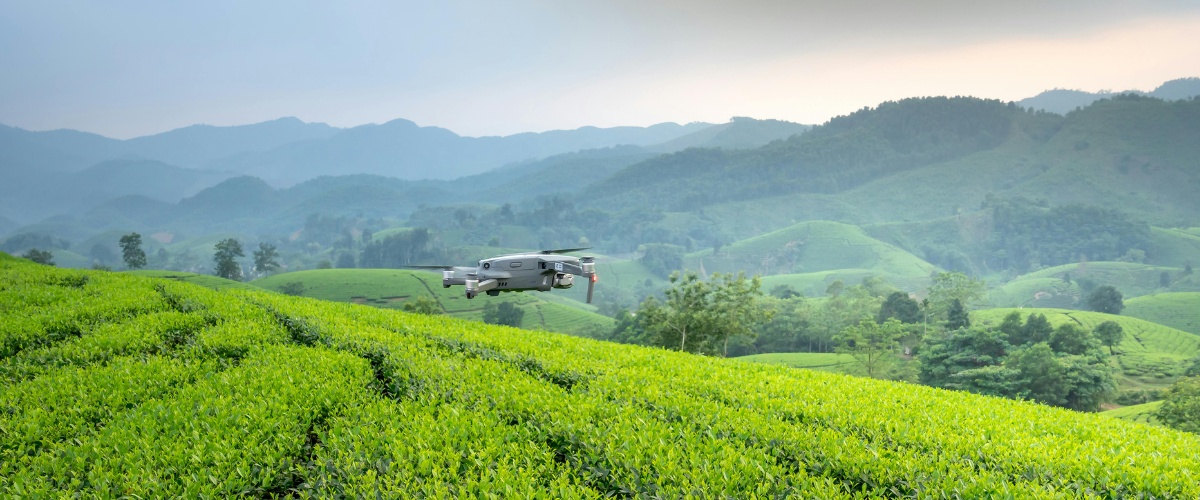 How Drone Technology in Precision Farming Improves Pest Detection and Crop Health