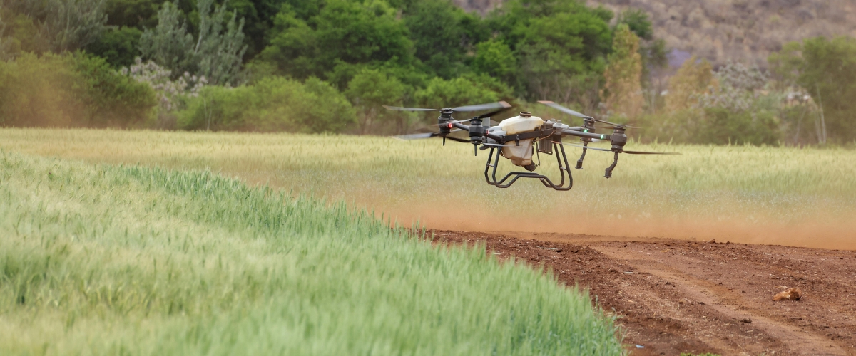 How Drone Technology in Precision Farming Reshapes Modern Farms