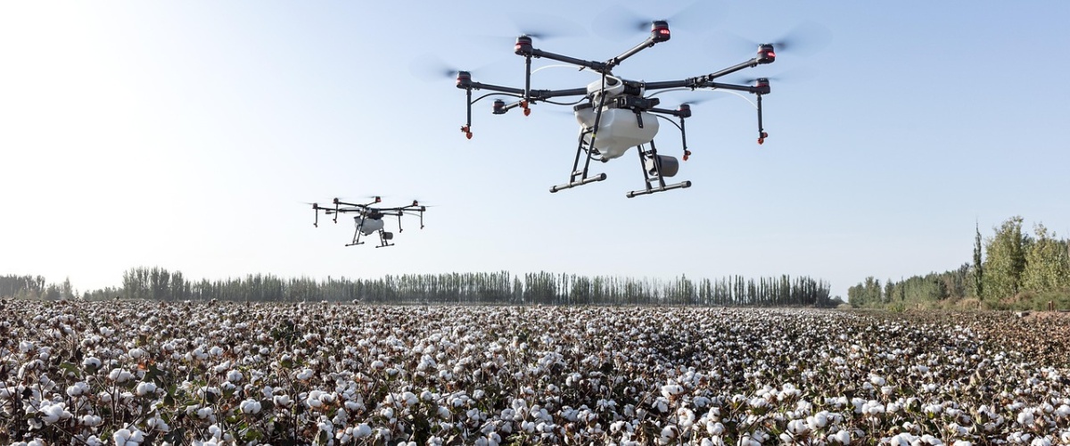 How Precision Agriculture Technology Reshapes Agribusiness
