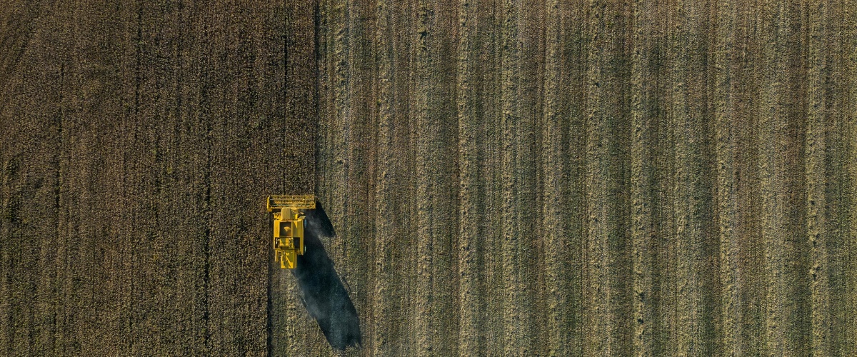AI and Machine Learning in Crop Prediction for Building More Resilient Agricultural Supply Chains 