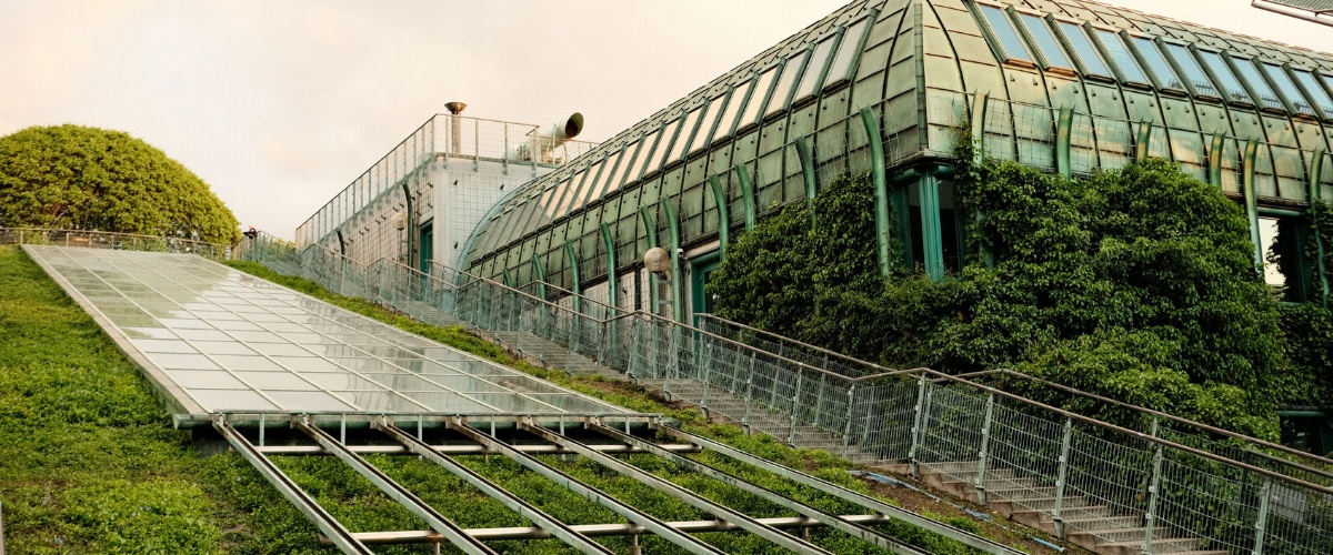 Eco Friendly Construction Materials Made from Agricultural Waste: The Next Big Innovation 