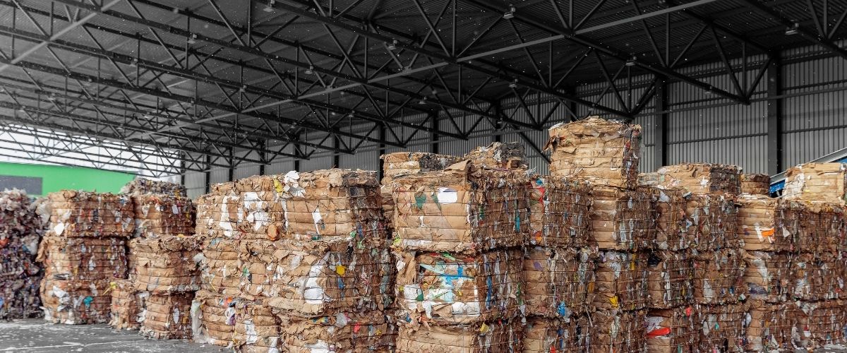 8 Sustainable Construction Materials Changing the Future of Building 
