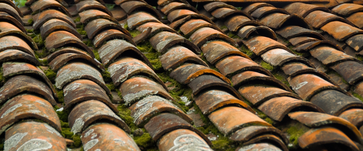 How Energy-Efficient Roofing Materials Moved to the Center of Commercial Construction